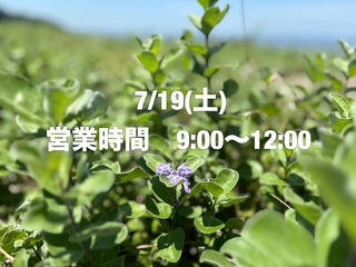 953EEC311D3C02AADF9B79119C05AC3BBC59E959.jpeg (68 KB)